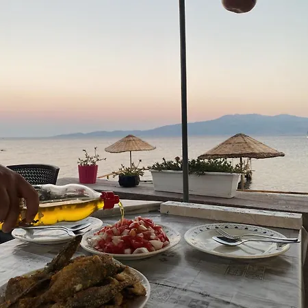 Guest house Oegretmenin Yeri Ayvacik